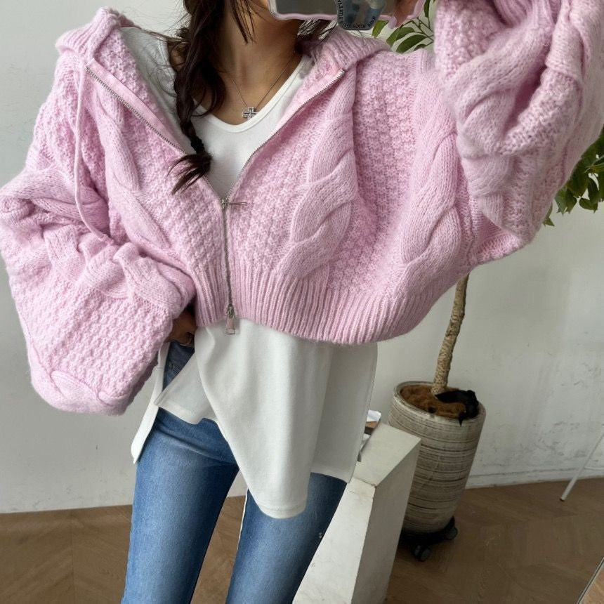 Damen Kurzer Strickpullover mit Zopfmuster und Kapuze EB