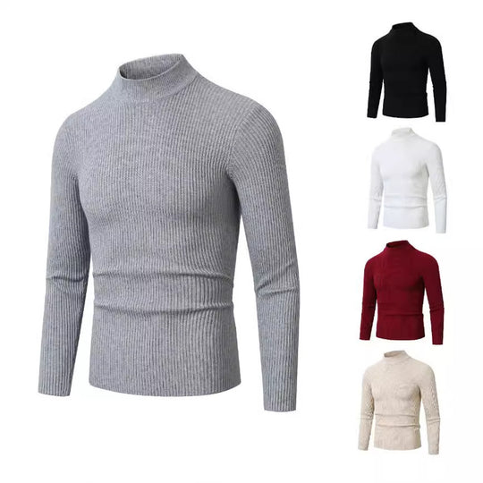 Herren modischer Rollkragenpullover aus feiner Wolle EB