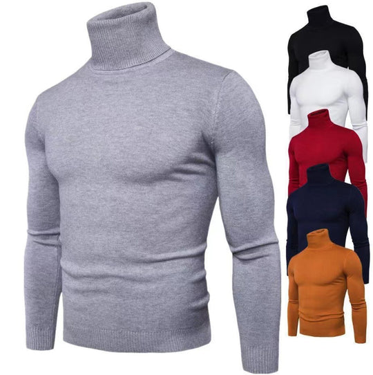 Herren Rollkragenpullover aus hochwertiger Baumwolle EB