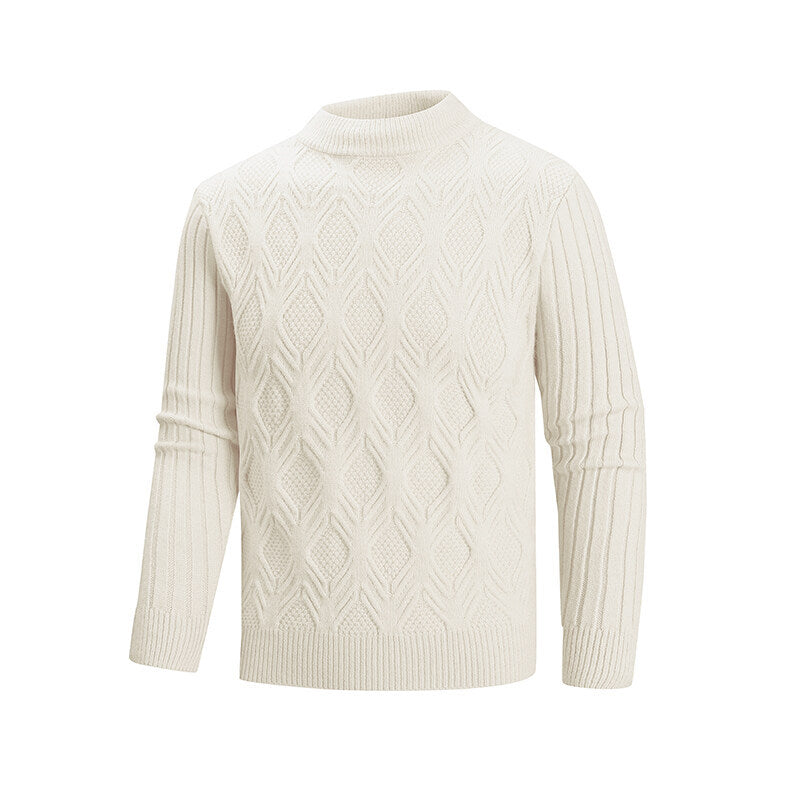Herren Rollkragenpullover mit strukturierter Strickoberfläche EB