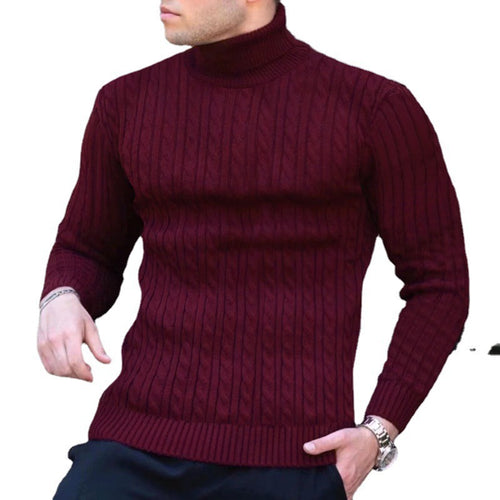 Herren eleganter Rollkragenpullover mit exquisiter Zopfmusterstruktur EB