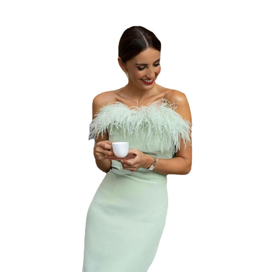 Damen Abendkleid mit federverziertem Oberteil und schlankem Schnitt EB