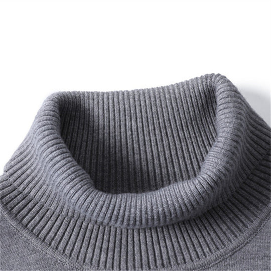 Herren modischer Rollkragenpullover aus feiner Merinowolle EB