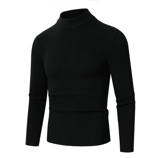 Herren modischer Rollkragenpullover aus feiner Wolle EB