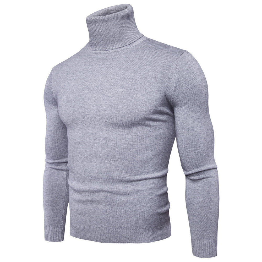 Herren Rollkragenpullover aus feiner Merinowolle EB