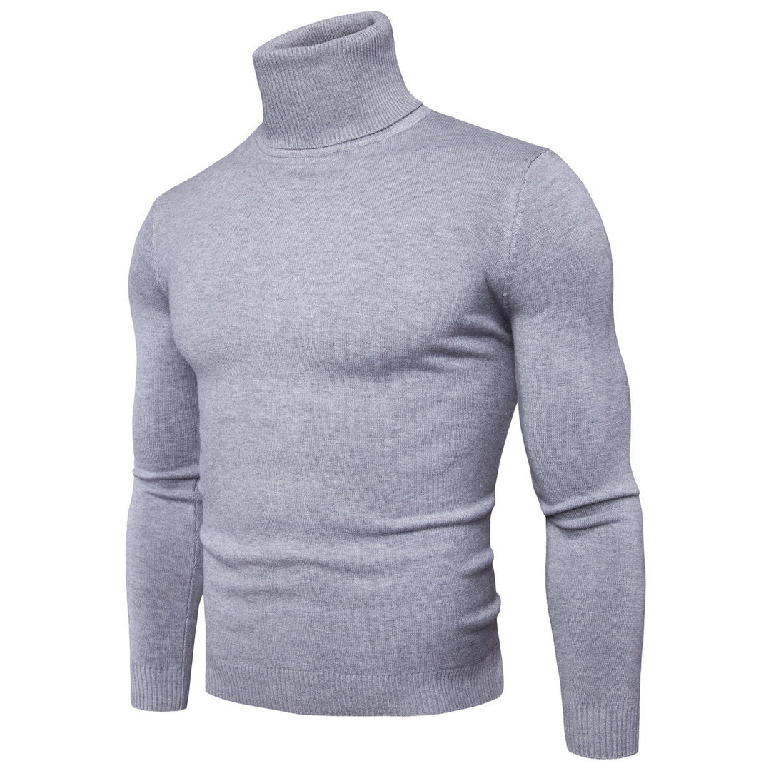 Herren nan enger anliegender Rollkragenpullover aus Feinstrick EB