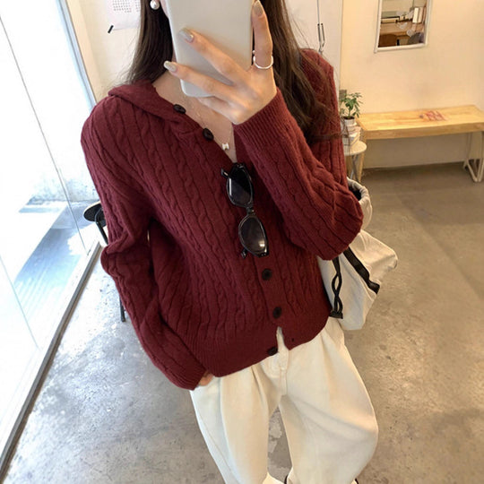 Damen Strickjacke mit Kapuze im Zopfdesign EB