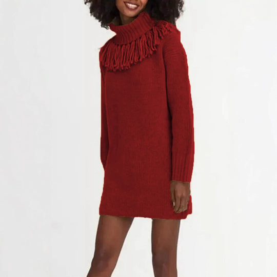 Damen Strickkleid mit hohem Rollkragen und modischen Fransen EB