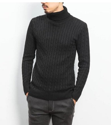 Herren modischer Rollkragenpullover mit strukturierter Strickoptik EB