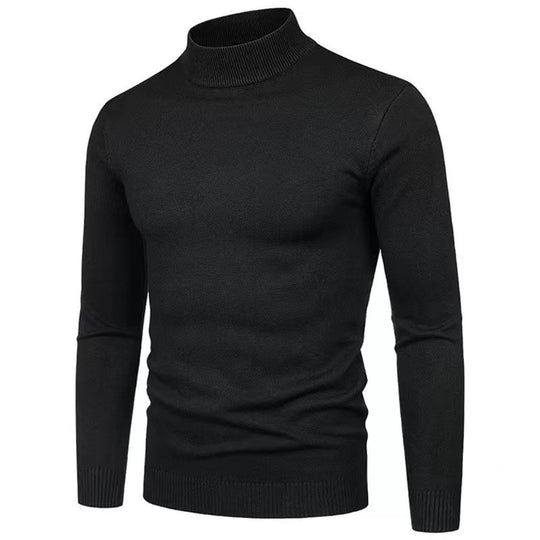 Herren Rollkragenpullover aus hochwertigem Strickmaterial mit feiner Textur EB