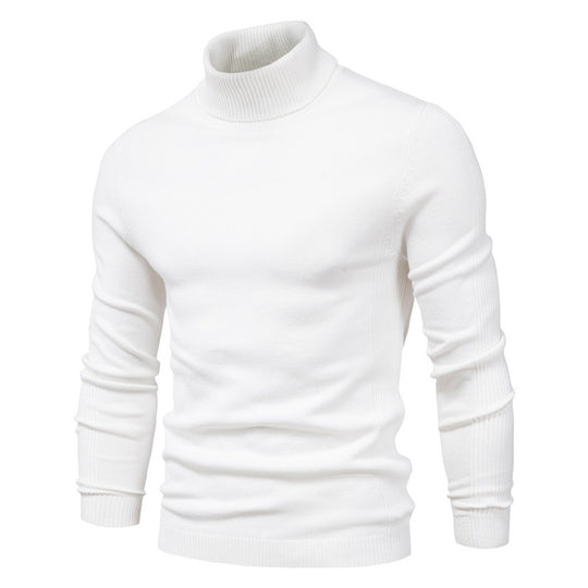 Herren Rollkragenpullover aus hochwertiger Wolle EB