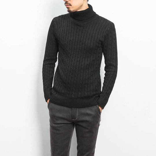 Herren nan Feinstrick-Rollkragenpullover mit Zopfmuster und schmaler Silhouette EB