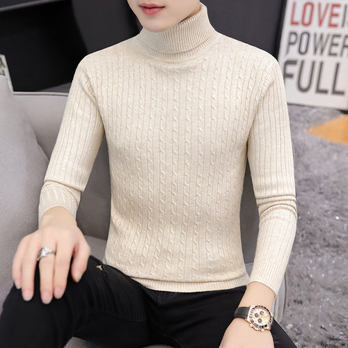 Herren Rollkragenpullover im stilvollen Rippstrickdesign EB
