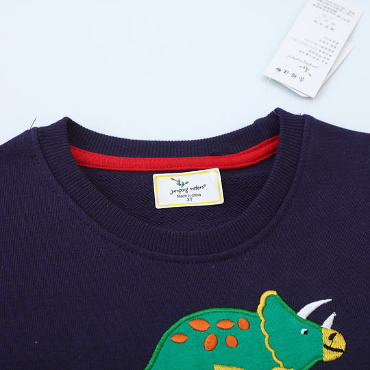 Jungen Sweatshirt mit buntem Dinosaurier-Applikationen EB