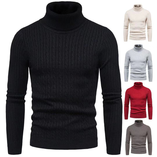 Herren Rollkragenpulli mit strukturiertem Zopfmuster EB