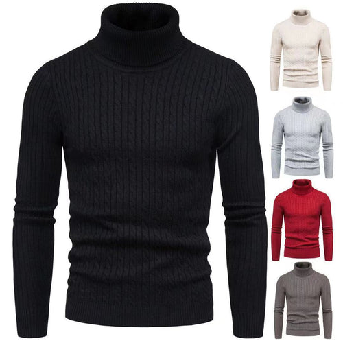 Herren Rollkragenpulli mit strukturiertem Zopfmuster EB