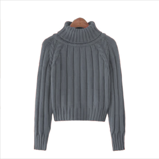 Damen Strickpullover mit hohem Kragen und Rippstruktur EB