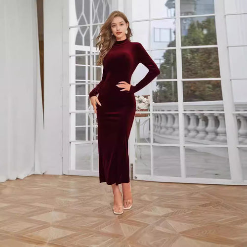 Damen Elegantes Samtmaxikleid mit hochgeschlossenem Kragen und figurbetontem Schnitt EB