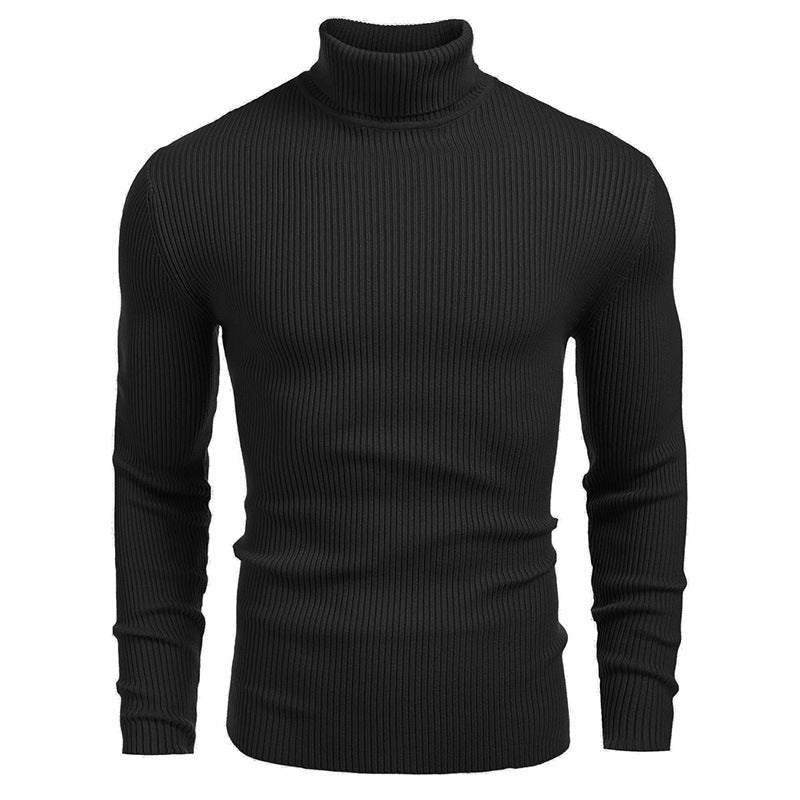 Herren Rollkragenpullover aus feinem Rippstrick EB