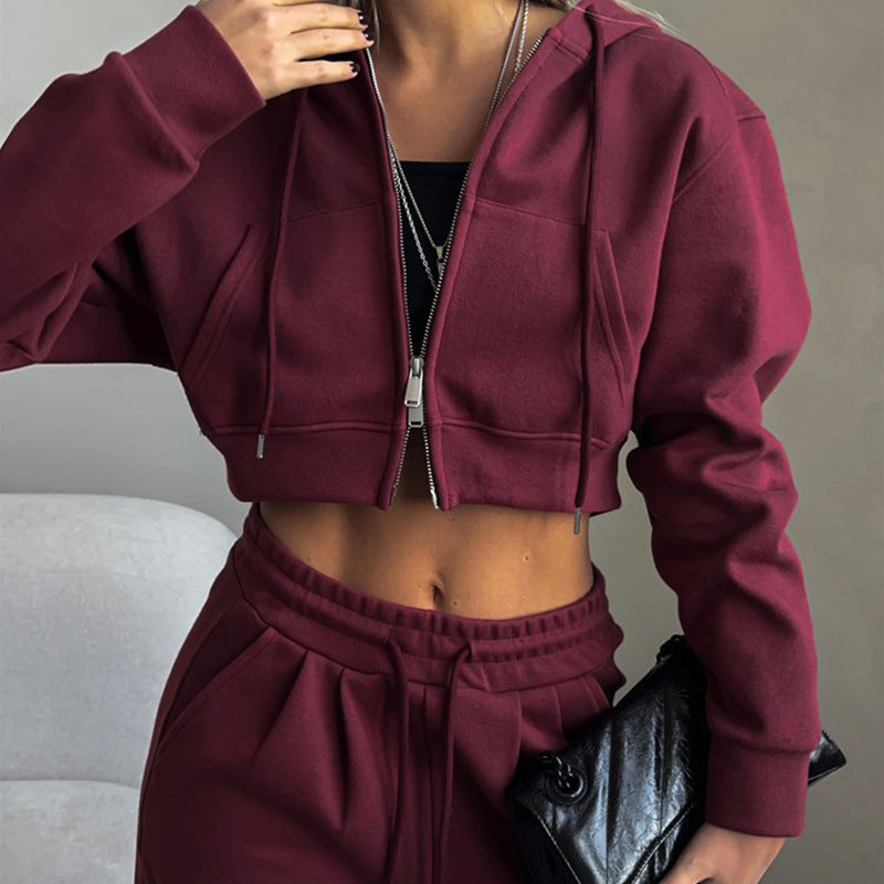 Damen cropped Reißverschluss-Kapuzenpullover mit hohem Bund Palazzo-Jogger Set EB