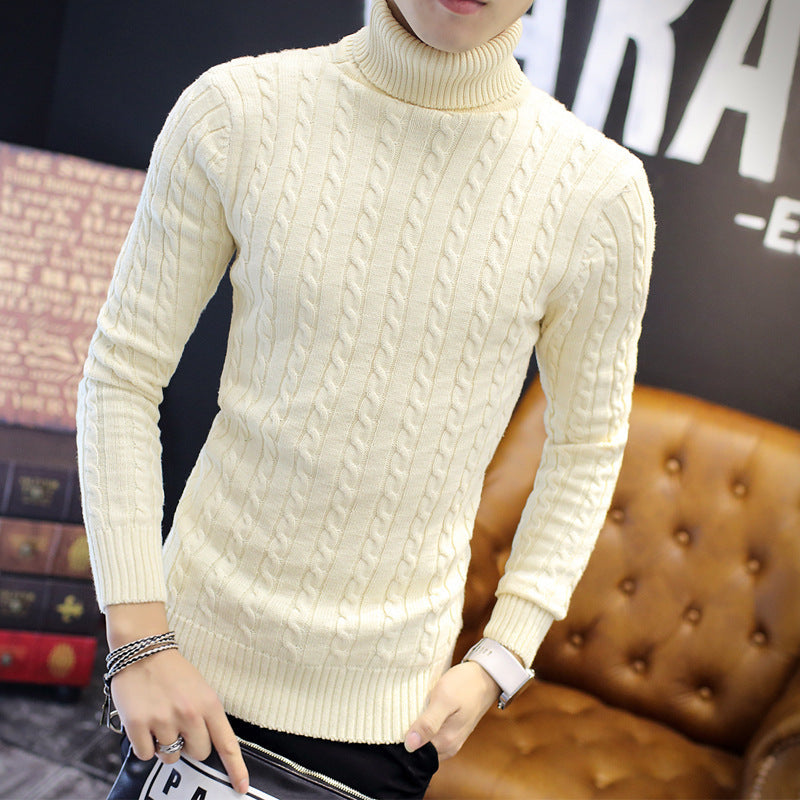 Herren nan Feinstrick-Rollkragenpullover mit Zopfmuster und schmaler Silhouette EB