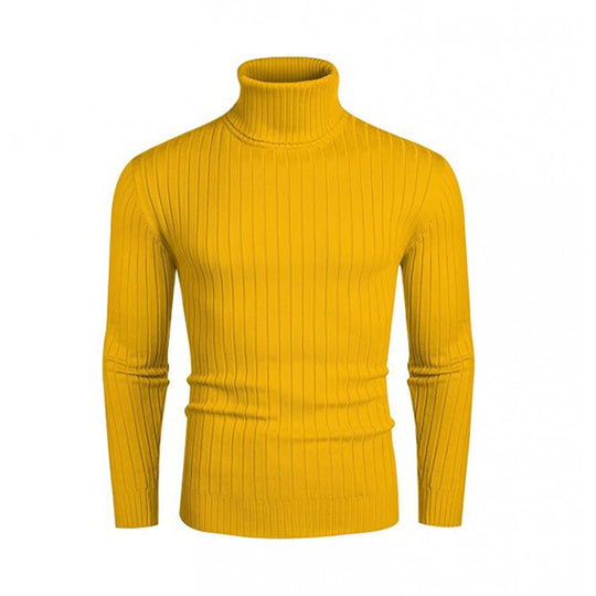 Herren modischer Rollkragenpullover mit feinem Rippenmuster EB