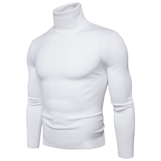 Herren Rollkragenpullover aus weichem Feinstrick EB