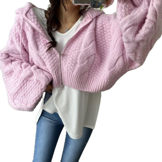 Damen Kurzer Strickpullover mit Zopfmuster und Kapuze EB