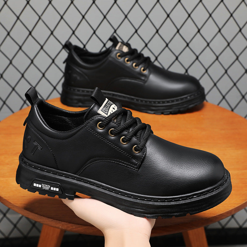 Herren Schnürschuhe aus Leder EB