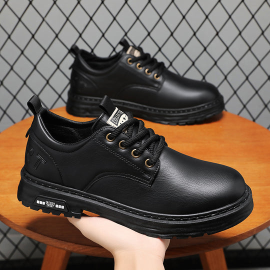 Herren Schnürschuhe aus Leder EB