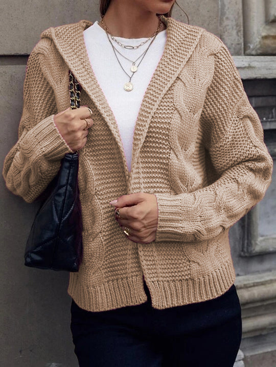 Damen Grobstrickjacke mit Kapuze und aufwendigem Zopfmuster EB