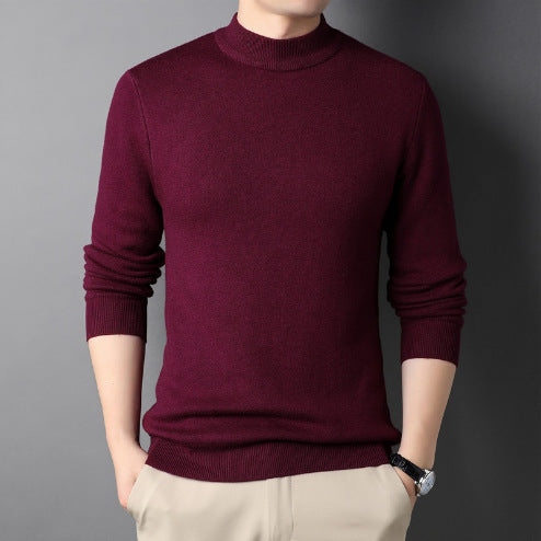 Herren Pullover mit hohem Kragen EB