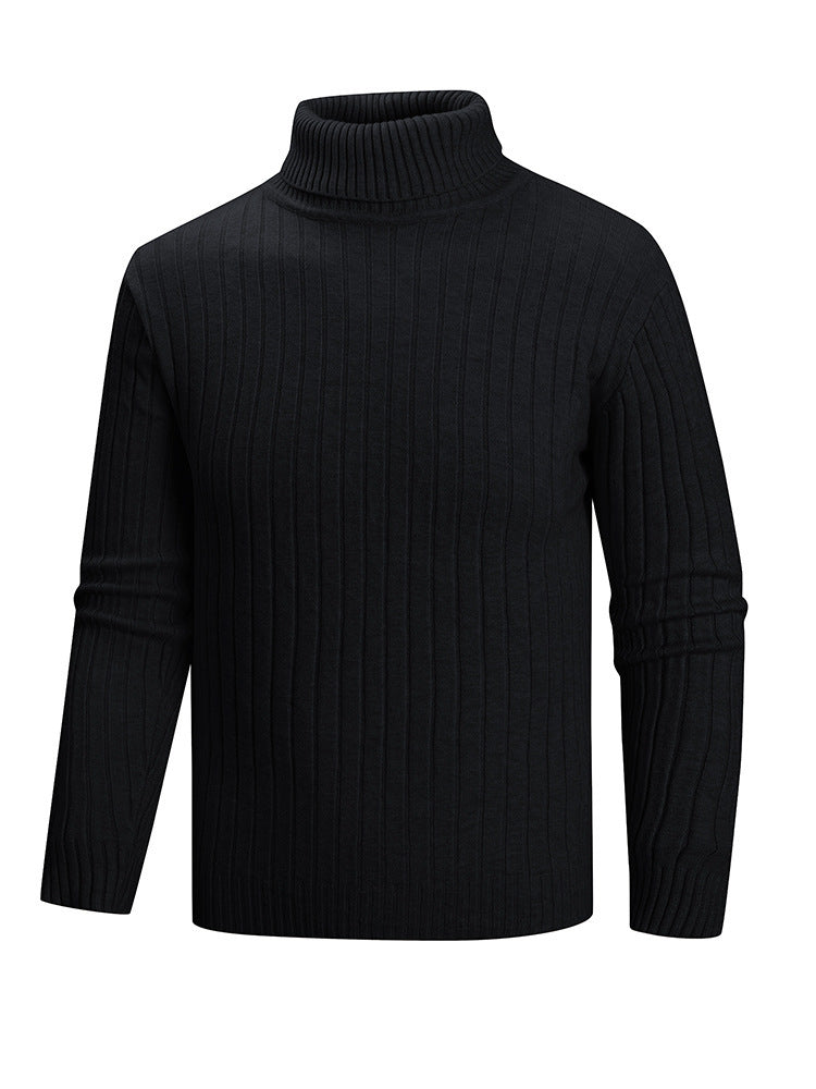 Herren Rollkragenpullover aus hochwertigem Feinstrick EB