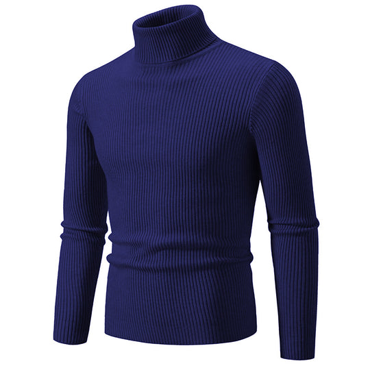 Herren Rollkragenpullover aus hochwertiger Rippenstrickqualität EB