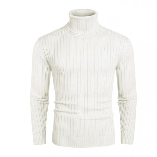 Herren Rollkragenpullover aus elastischem Strickmaterial mit feinem Rippendesign EB