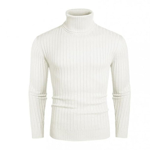 Herren Rollkragenpullover aus elastischem Strickmaterial mit feinem Rippendesign EB