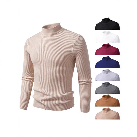 Herren Rollkragenpullover aus strukturiertem Strickmaterial EB