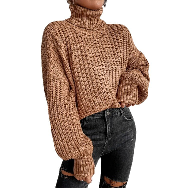 Damen nan grober Rollkragenpullover mit Oversize-Ärmeln und gerippten Bündchen EB