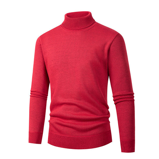 Herren eleganter Rollkragenpullover aus hochwertigem Material EB