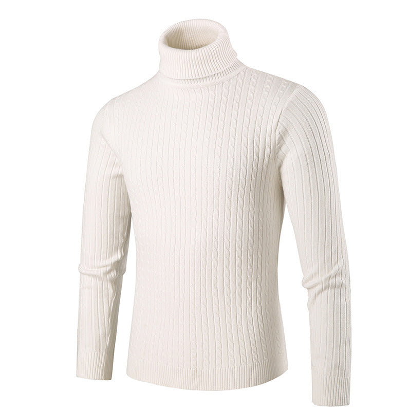 Herren modischer Rollkragenpullover aus strukturiertem Strick EB