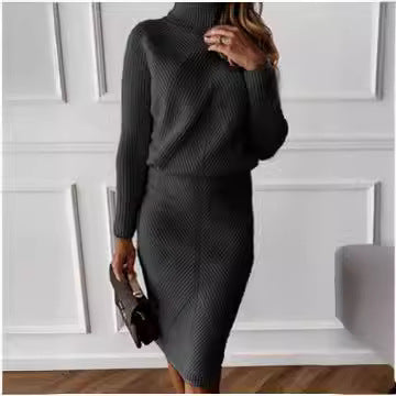 Damen Strickkleid mit hohem Kragen und eleganter Rippstruktur EB