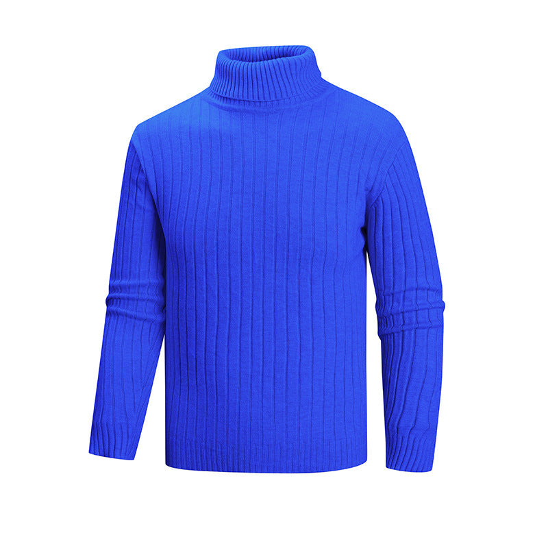 Herren Strickpullover mit Stehkragen EB