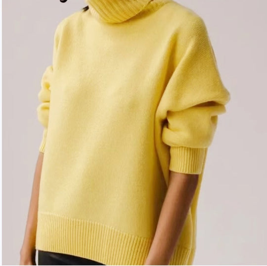Damen Modischer Rollkragenpullover aus weichem Material EB