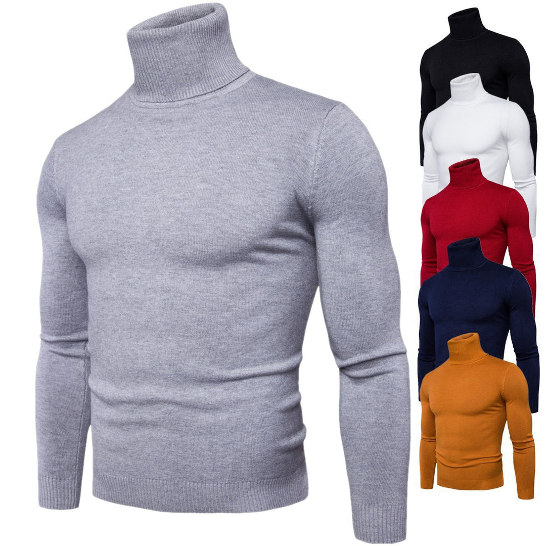 Herren nan enger anliegender Rollkragenpullover aus Feinstrick EB