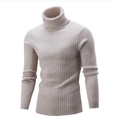 Herren stilvoller Rollkragenpullover mit Zopfmuster EB