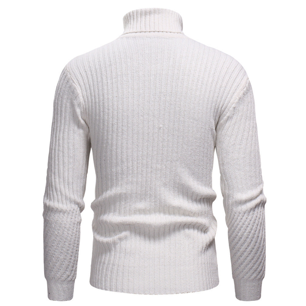 Herren Hochwertiger Rollkragenpullover im strukturierten Design EB