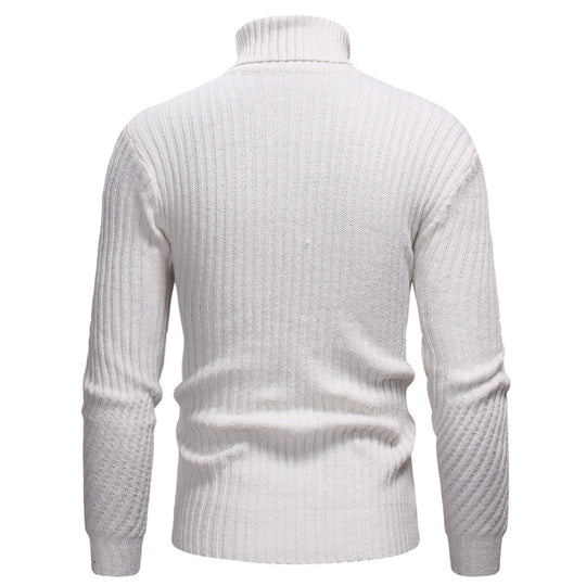 Herren Hochwertiger Rollkragenpullover im strukturierten Design EB