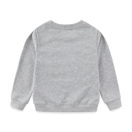 Jungen Sweatshirt mit liebevollem Tiermotiv EB