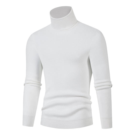 Herren Rollkragenpullover aus weichem Material EB