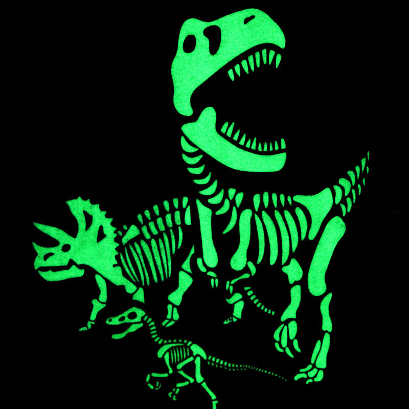 Jungen T-Shirt mit aufregendem Dinosaurier-Skelett-Design EB